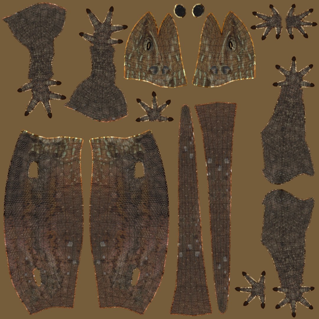 3D Rock Agama Lizard Model - TurboSquid 1901539