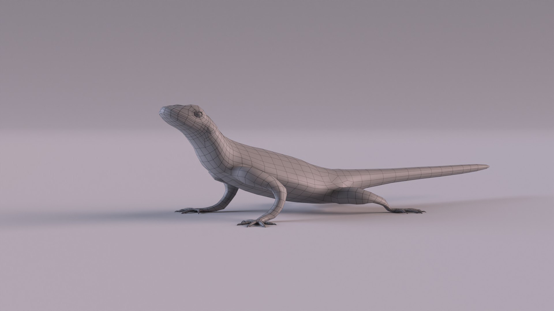 3D Rock Agama Lizard Model - TurboSquid 1901539