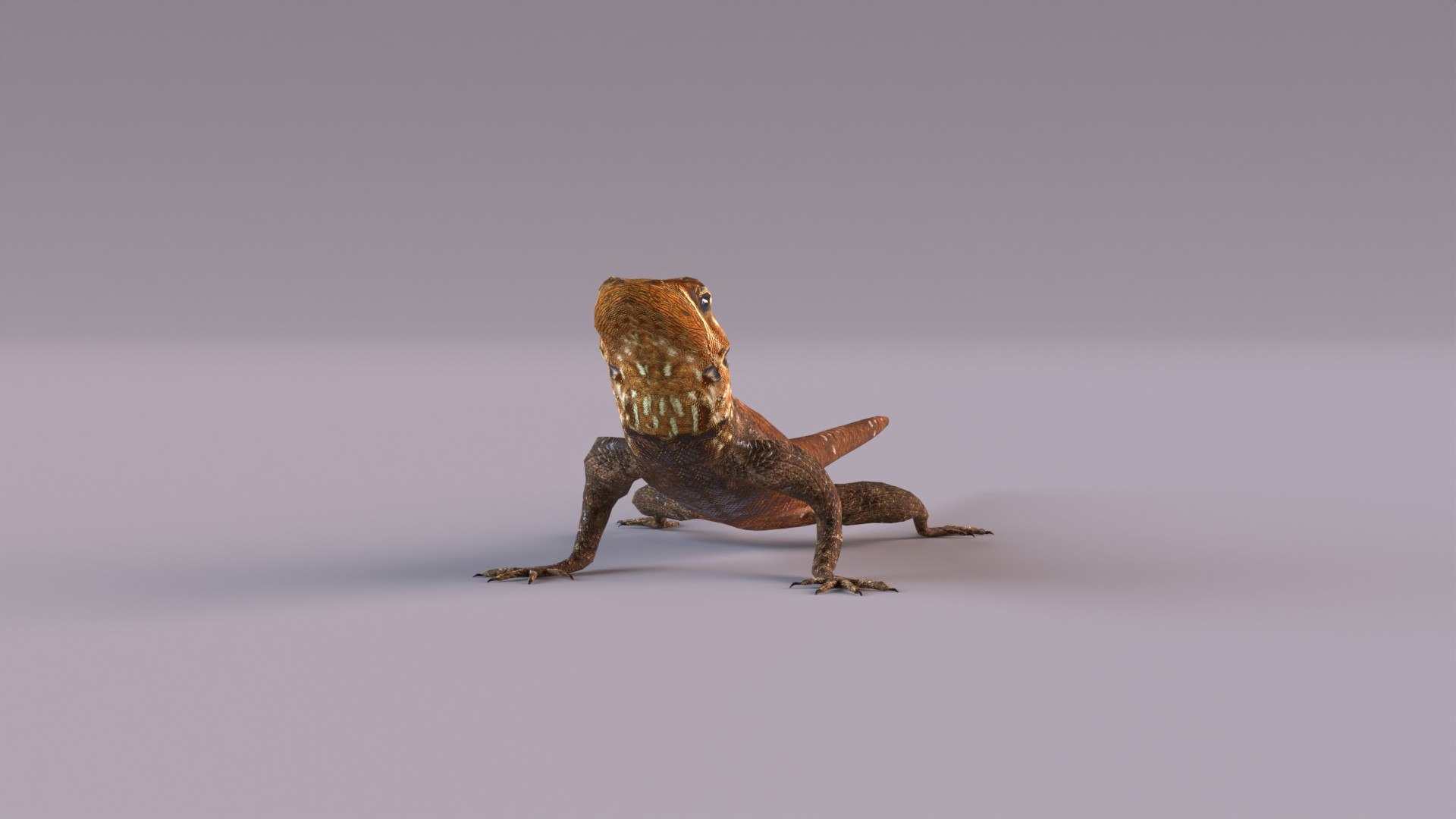 3D Rock Agama Lizard Model - TurboSquid 1901539