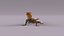 3D Rock Agama lizard model