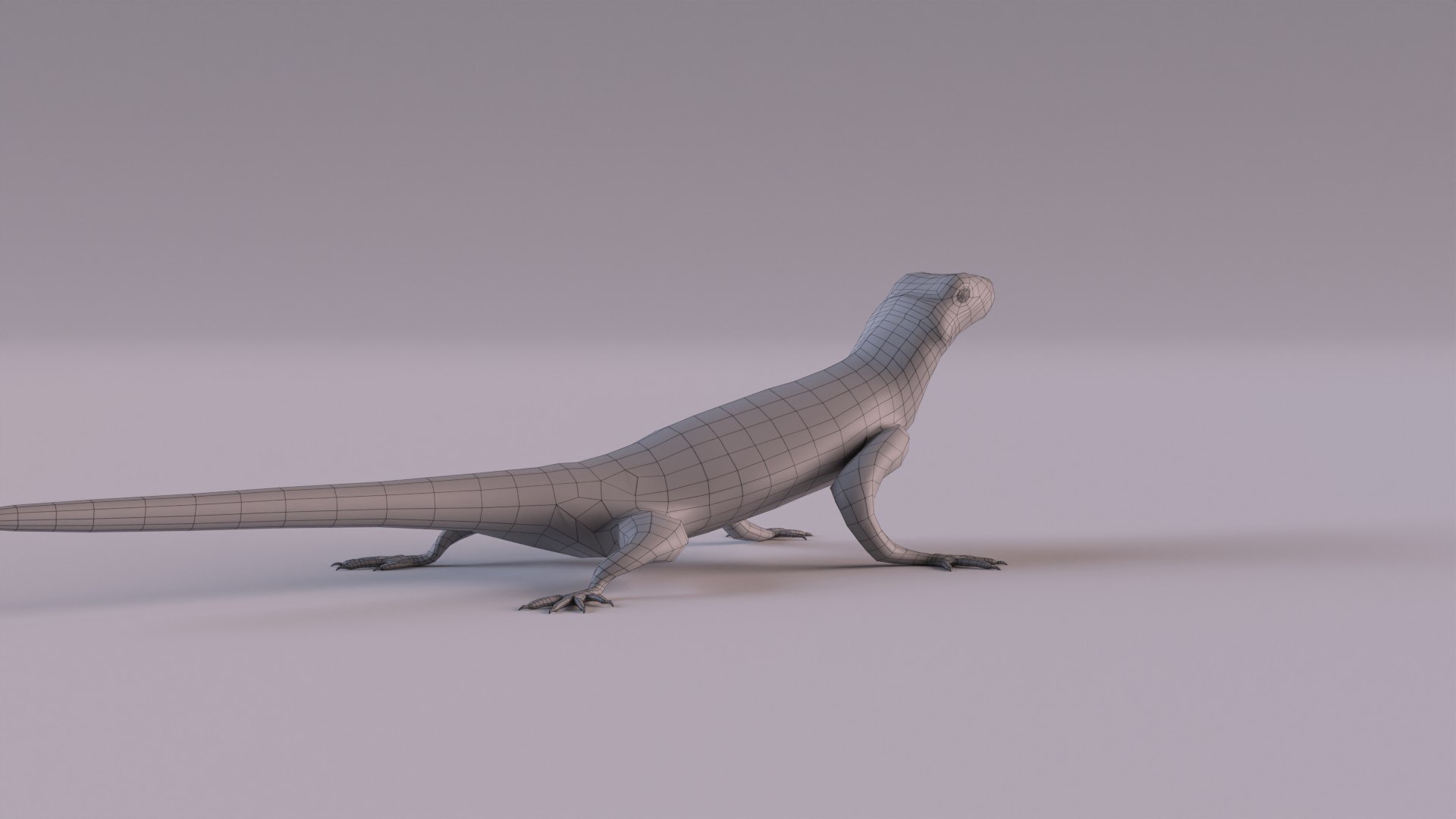 3D Rock Agama Lizard Model - TurboSquid 1901539