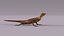 3D Rock Agama lizard model