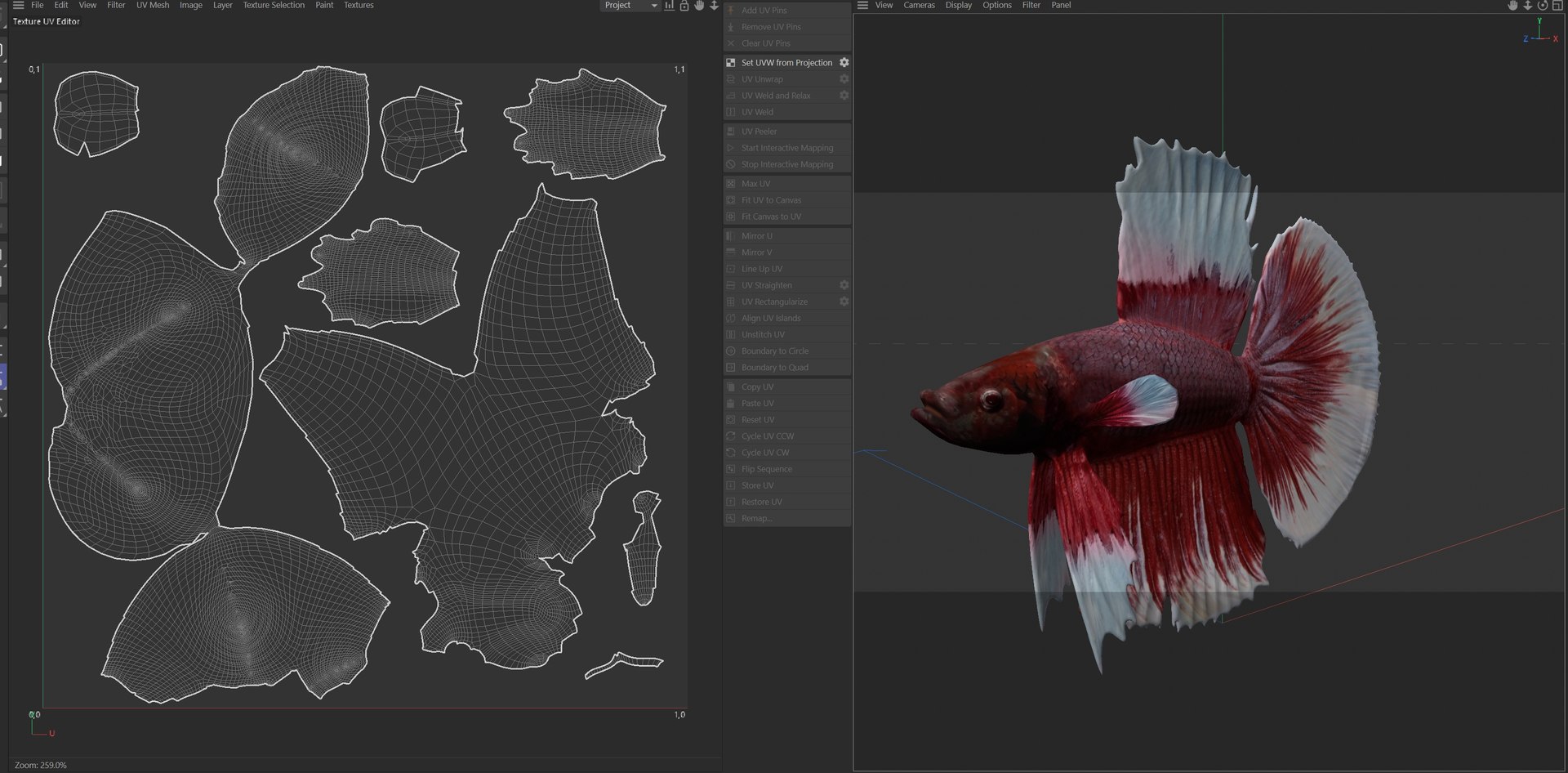 Betta Fish 8 3D https://p.turbosquid.com/ts-thumb/OD/mC07fk/zq/uv/jpg/1774421091/1920x1080/fit_q87/121126c859e1271bfb28563546f70cc4689ac9b4/uv.jpg