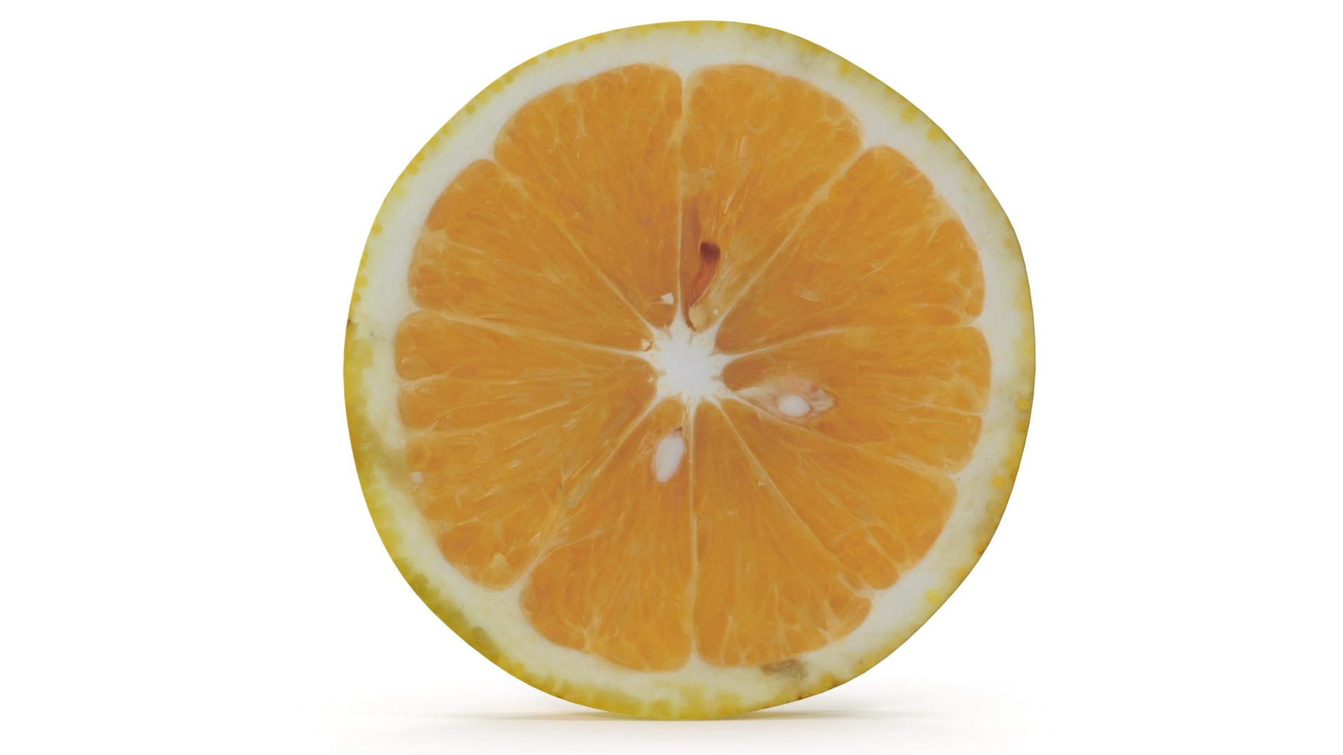 3D slice sweet lemon model https://p.turbosquid.com/ts-thumb/OD/stu54T/NdUrcSzq/lemonsliceturncolor0000/jpg/1577031970/1920x1080/fit_q87/85314a8a8443ae07c29cbfc882d1da9a92ff9d99/lemonsliceturncolor0000.jpg