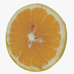 3D slice sweet lemon model