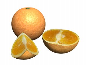 Free Orange Fruit 3D Models for Download