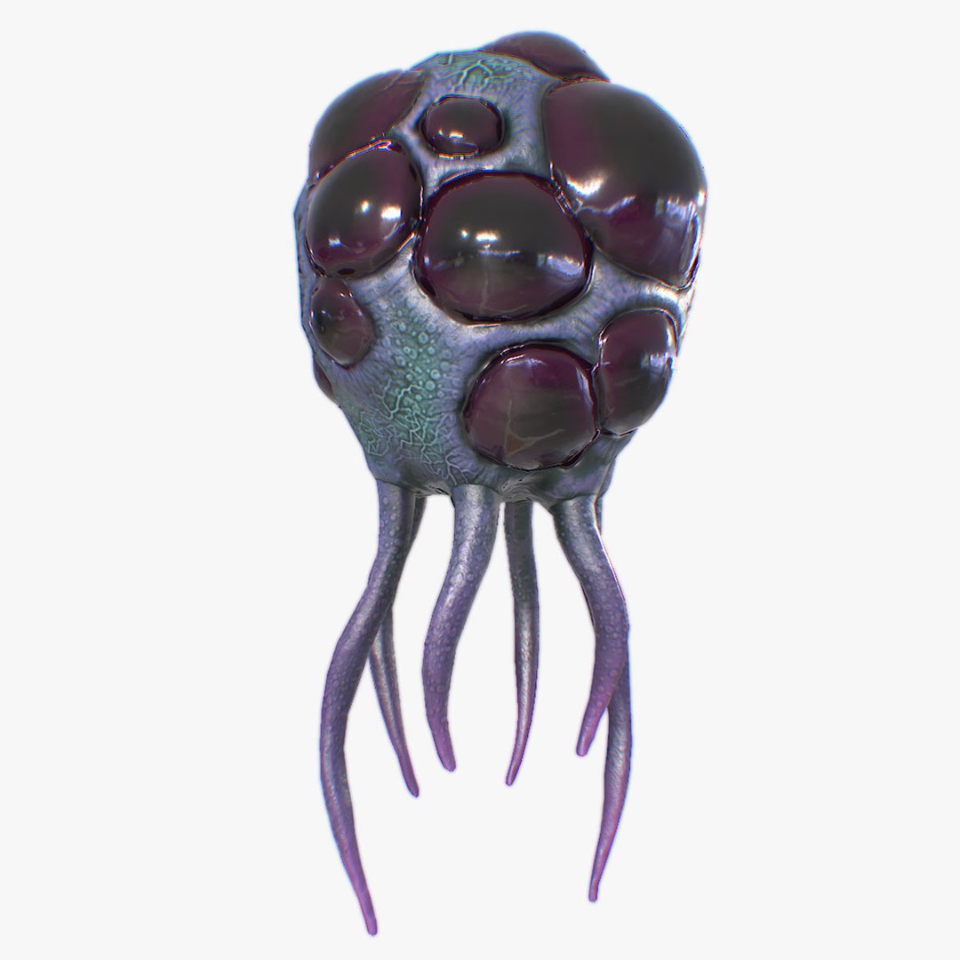 Levitating creature model https://p.turbosquid.com/ts-thumb/OD/v2x98f/YZ/levitating_creature_02_tsquid/jpg/1747400236/1920x1080/fit_q87/cbac45e4d1d8e1961ba35f33a1d9f3925596fd45/levitating_creature_02_tsquid.jpg