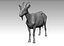 Goat Realistic
