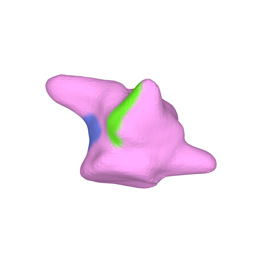 3D Monster 3D colorful face mask model https://p.turbosquid.com/ts-thumb/OE/6XeSal/fU/model10/png/1787647150/1920x1080/fit_q87/be3ec76fa0d180c3bf54ce41ad84633d95420a79/model10.jpg