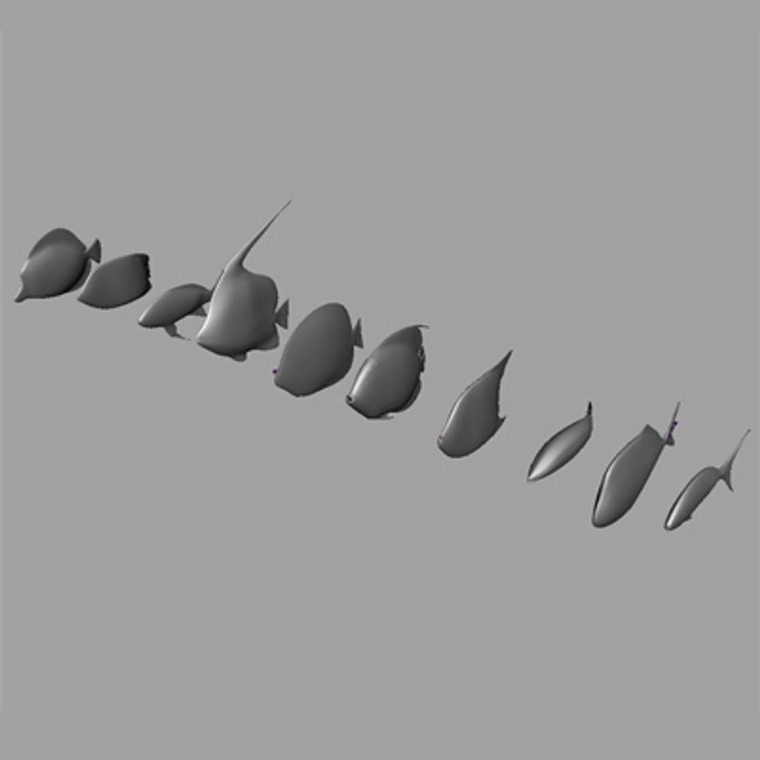 Fish Rigs 3d Model