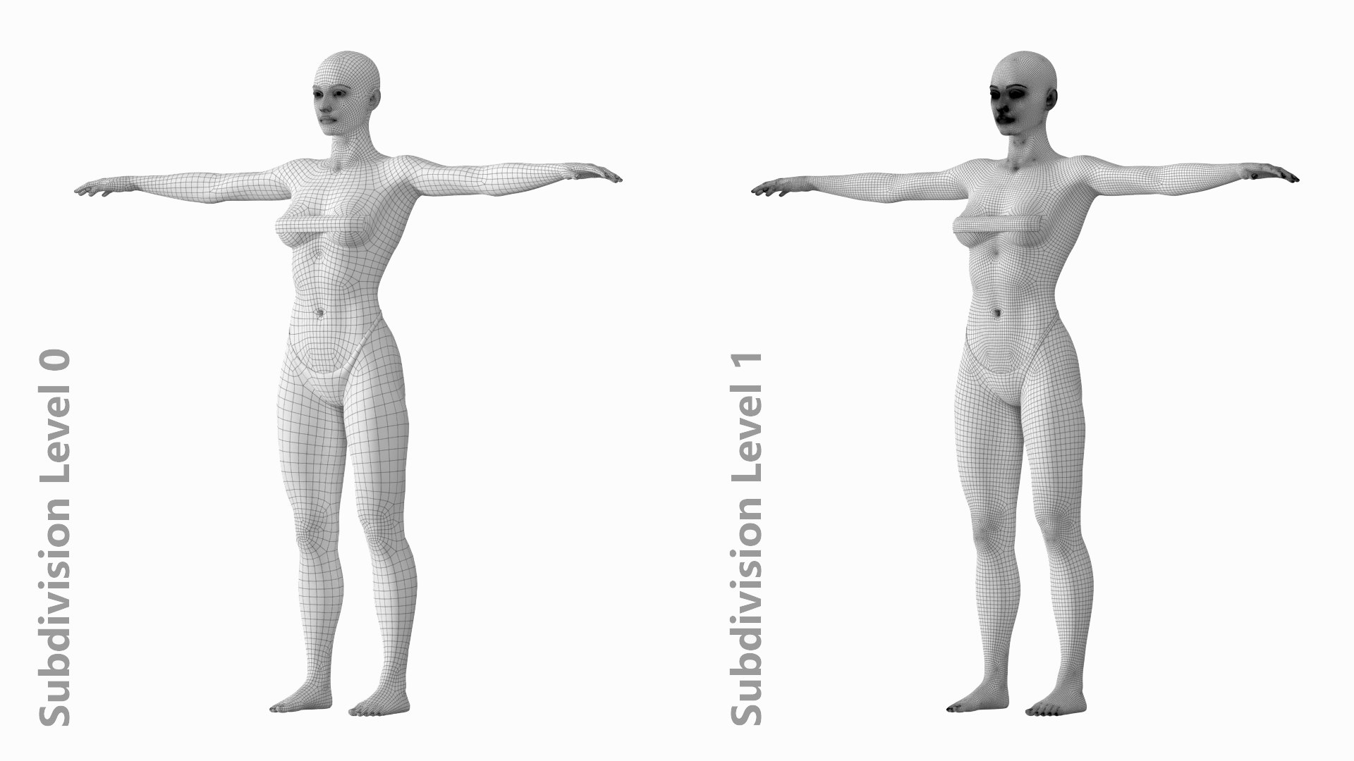 Natural Female 01 T-Pose Base Mesh Model - TurboSquid 2169269