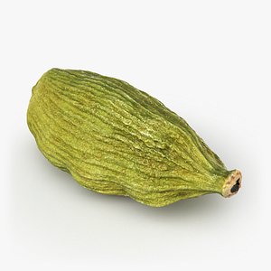 3D Cardamom 01 - 3D Scanned model