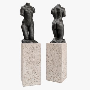 Rodin woman torso