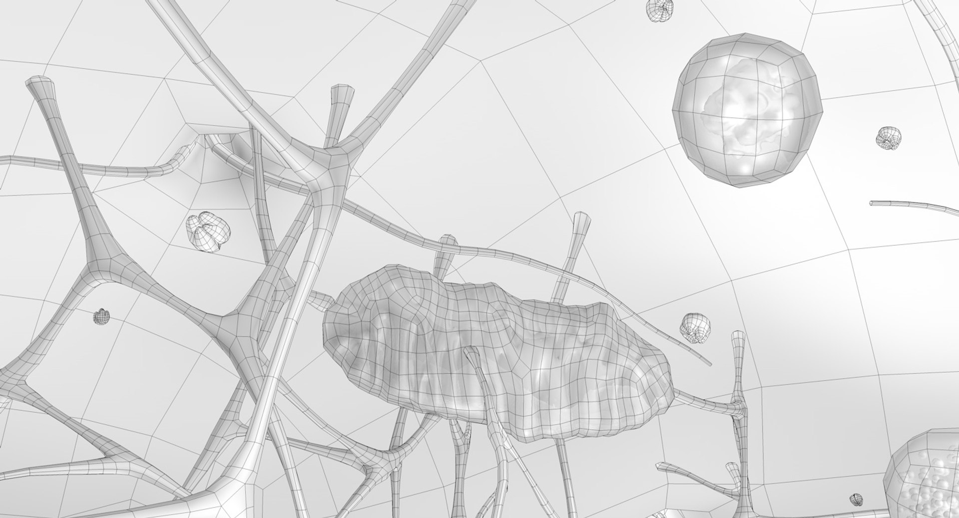 3D human cell https://p.turbosquid.com/ts-thumb/OF/4AnA03/AQFVojcQ/human_cell_out_hide_0009/jpg/1553462968/1920x1080/fit_q87/831eab1b66b2476db611565680149bd5c1396633/human_cell_out_hide_0009.jpg