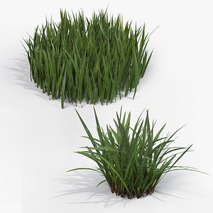 3D Grass Cluster Collection 002 - 2 Cluster Types model