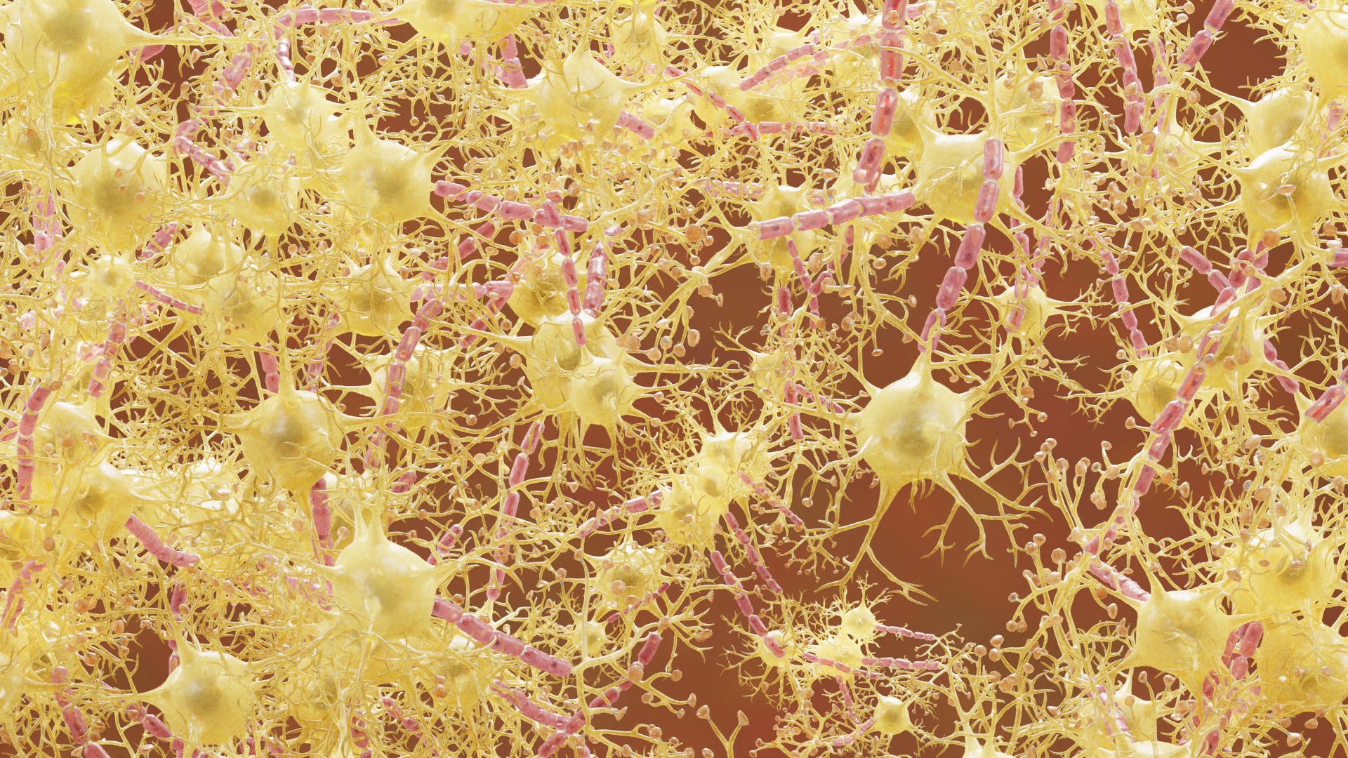 3D Neural Networks - TurboSquid 2174494