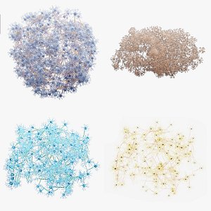 Neural Networks