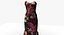 Evening Dress