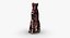 Evening Dress