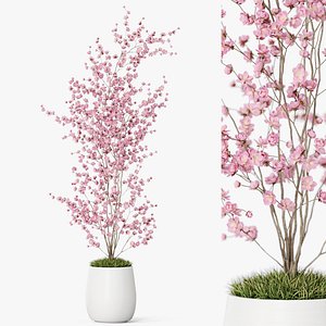 3D Plants collection 1199