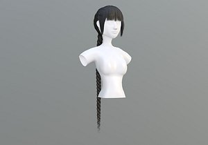 Long Braid Hairstyle 3D