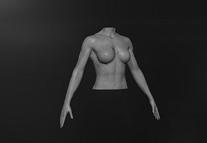 Muscular Female Torso