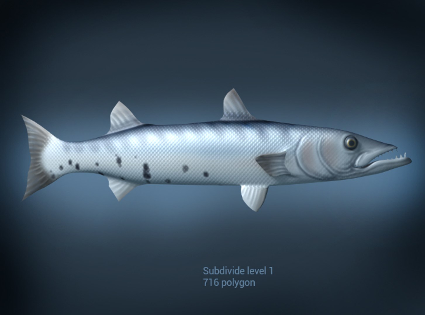 baracuda fish 3d model https://p.turbosquid.com/ts-thumb/OF/wZ1fLt/5mFXCwpX/brview5/jpg/1394874142/1920x1080/fit_q87/c65b2117dd0c3eb0a0342f12ba7cb87d1311a9e7/brview5.jpg