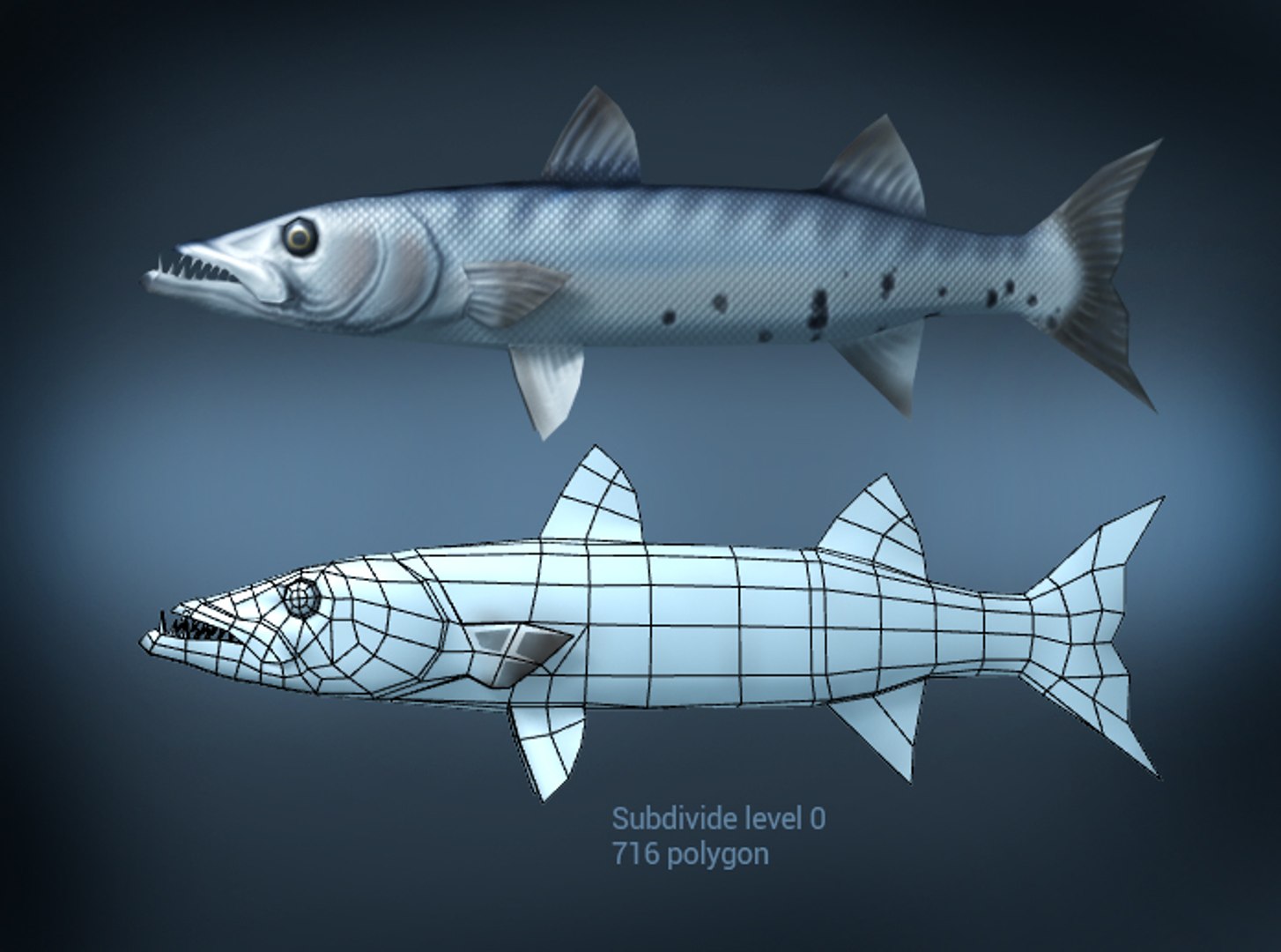 baracuda fish 3d model https://p.turbosquid.com/ts-thumb/OF/wZ1fLt/WmMmcRHr/brview4/jpg/1394874136/1920x1080/fit_q87/a94e9282f19cdb7a2e74bb3fd06bd7b4fa65cae3/brview4.jpg