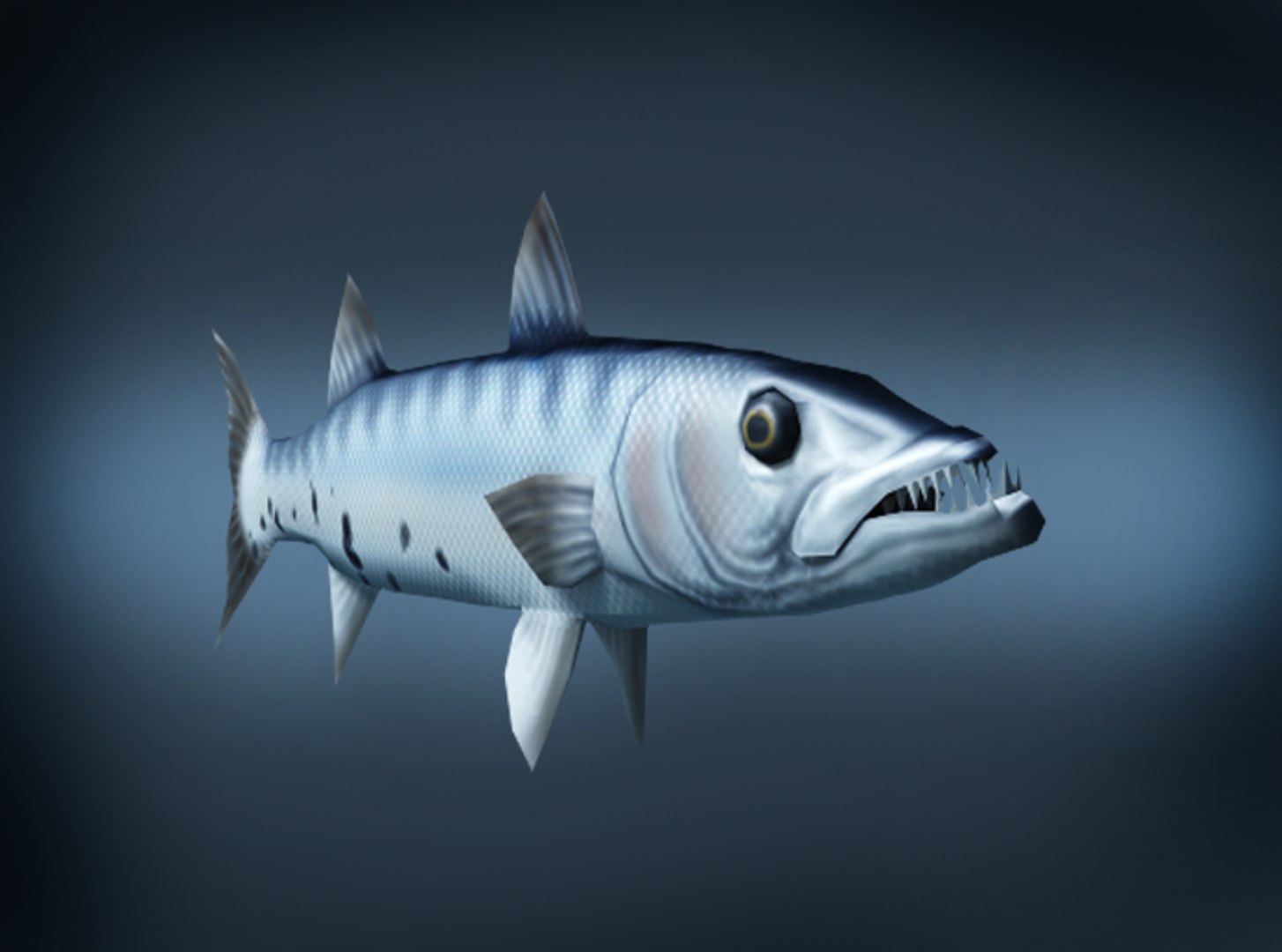baracuda fish 3d model https://p.turbosquid.com/ts-thumb/OF/wZ1fLt/dDyEo9kd/brview3/jpg/1394874128/1920x1080/fit_q87/b9e385babe1452fc39210e0a6a278a31b9b33d5f/brview3.jpg