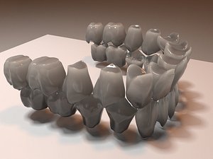 3D teeth anatomical model