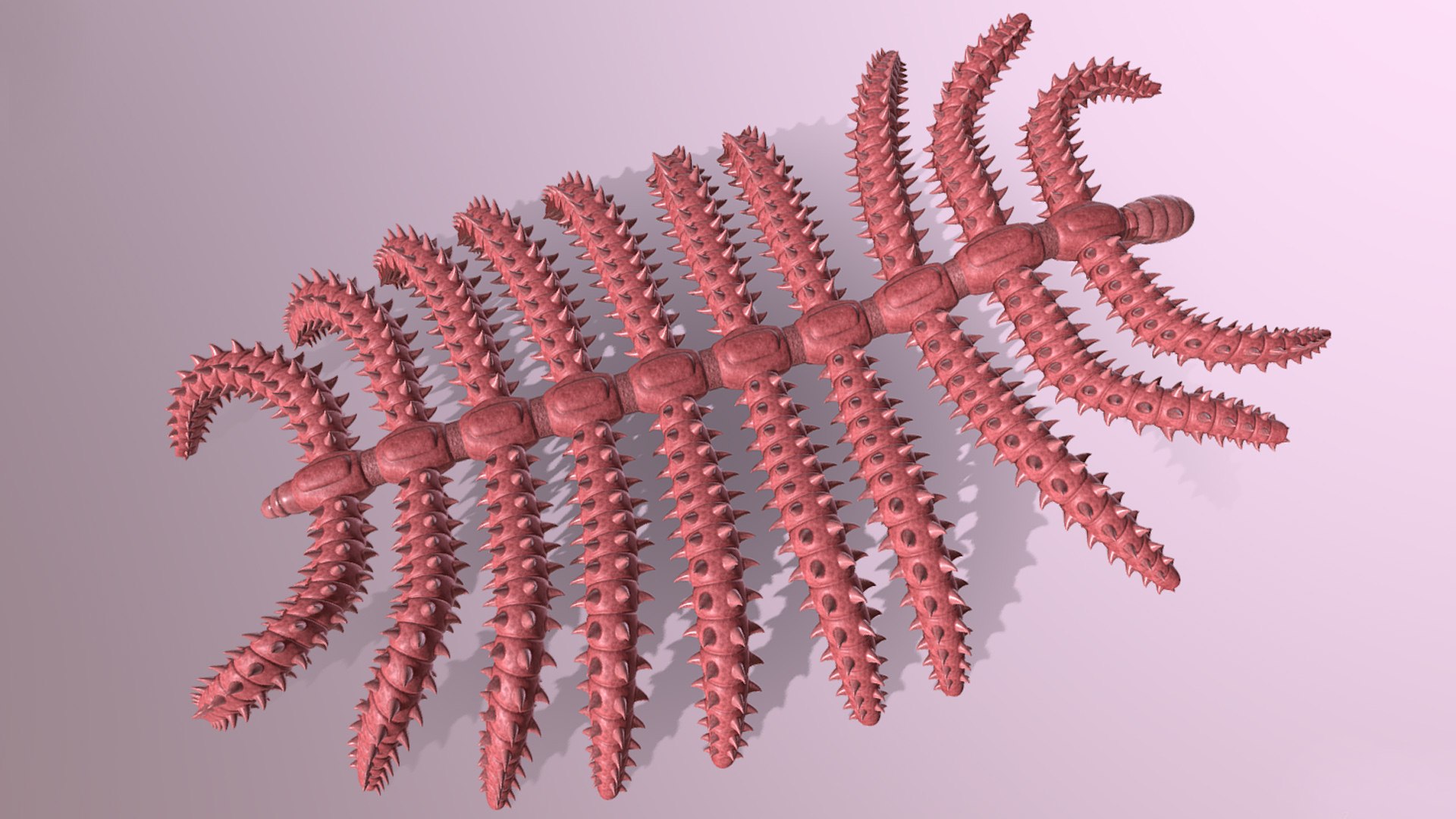 Diania Cactiformis 3D Model TurboSquid 1577912