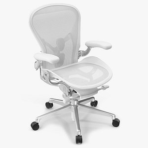 Adjustable Mesh Task Chair with Lumbar Support