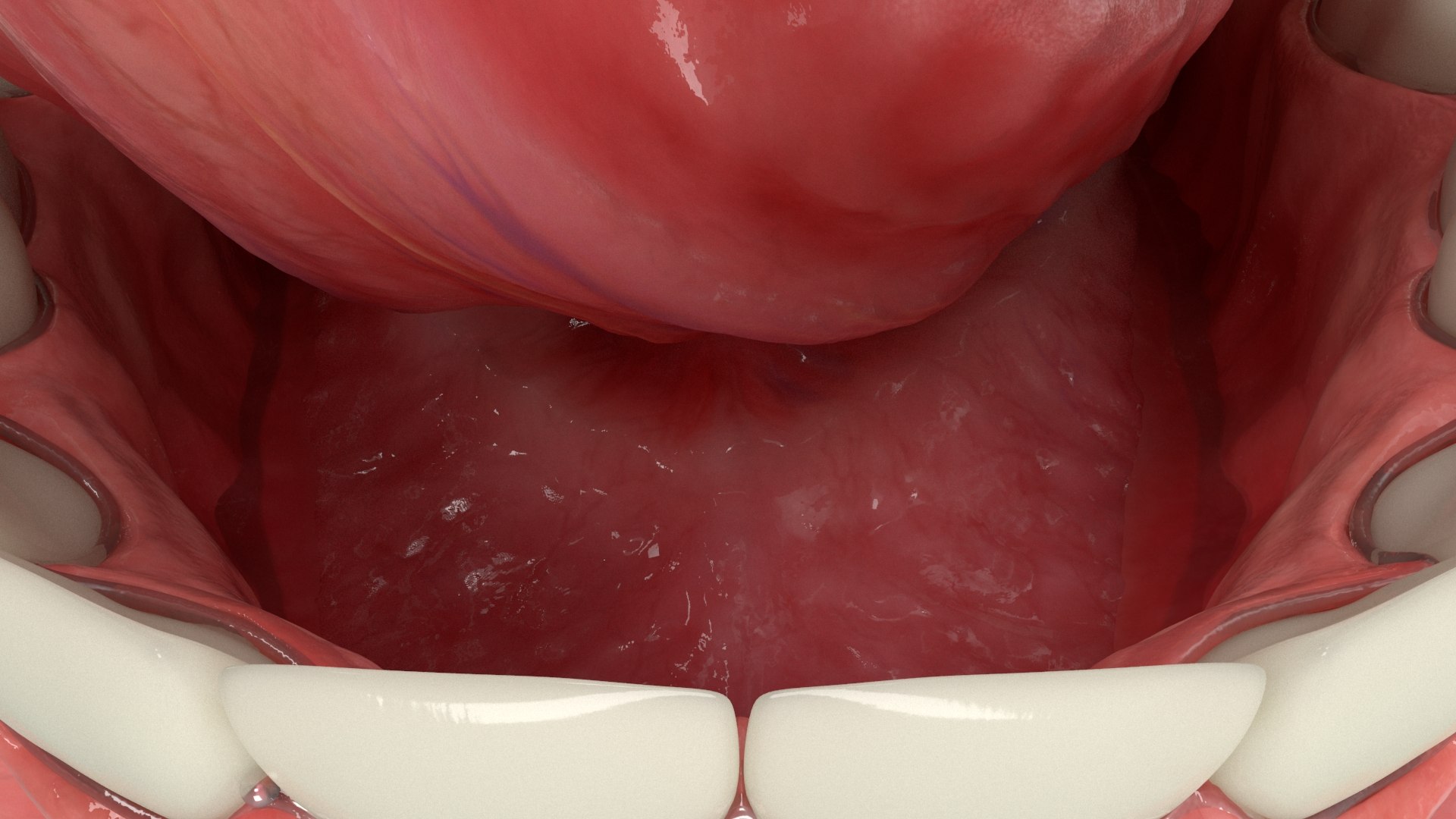 Realistic Human Mouth Rig 3D model https://p.turbosquid.com/ts-thumb/OG/PRzuAj/Du/mouth_rendercolor0007/jpg/1652815753/1920x1080/fit_q87/e8367801aeb1370fbdcf366866f73127e9934e4d/mouth_rendercolor0007.jpg