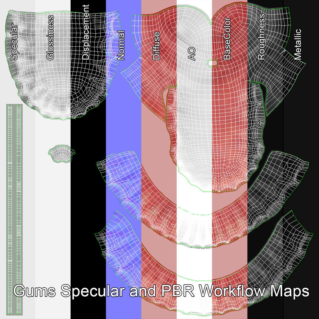 Realistic Human Mouth Rig 3D model https://p.turbosquid.com/ts-thumb/OG/PRzuAj/Su/gumsuv_specnmetallic/jpg/1652854299/1920x1080/fit_q87/216f2f691a04d7526874183011b993718c23c42d/gumsuv_specnmetallic.jpg
