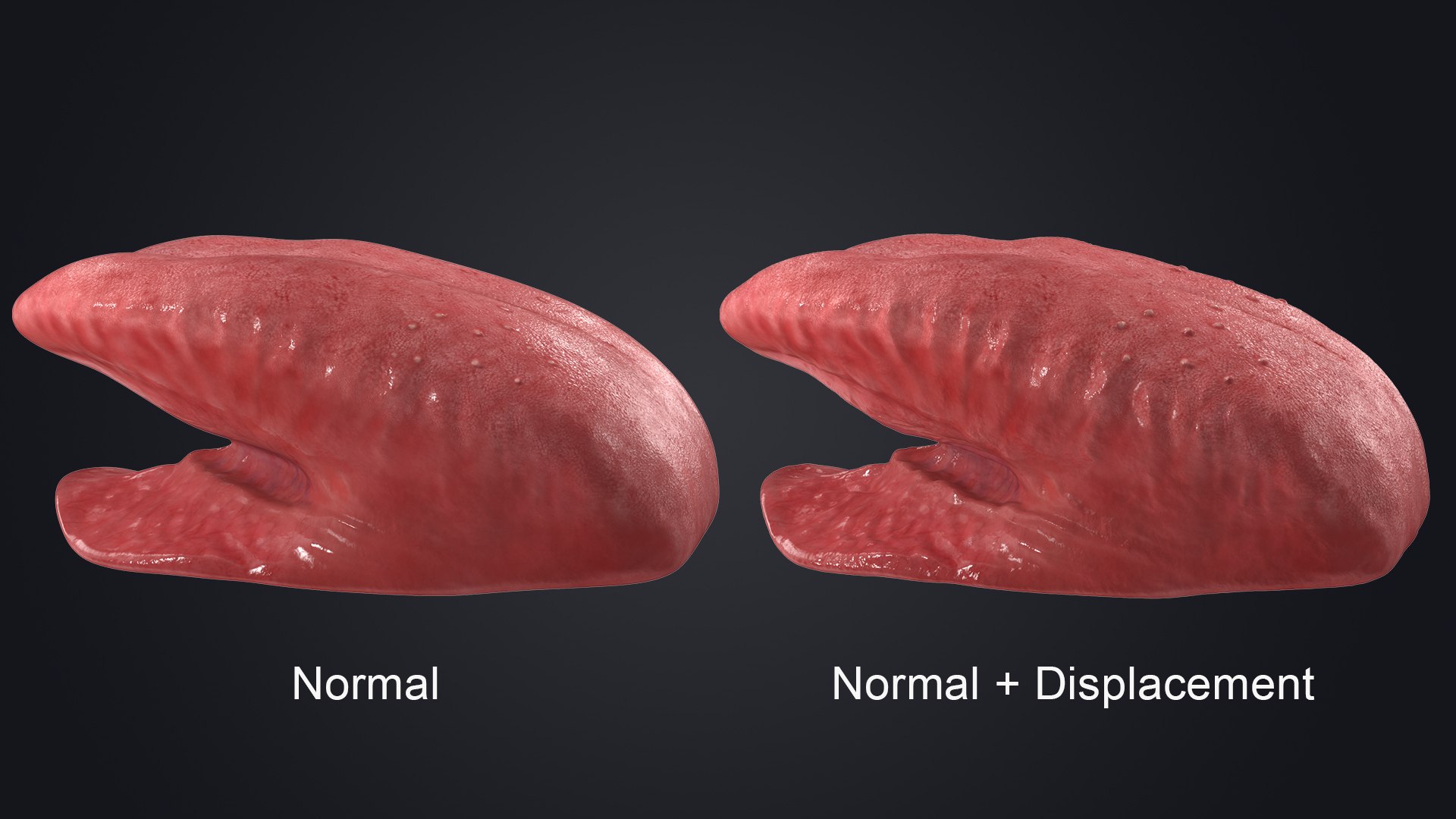Realistic Human Mouth Rig 3D model https://p.turbosquid.com/ts-thumb/OG/PRzuAj/hN/normaldisplacement/jpg/1652854244/1920x1080/fit_q87/604c3a7a4c9c9ba2a3f5e03b099eda05f3d7dd4d/normaldisplacement.jpg