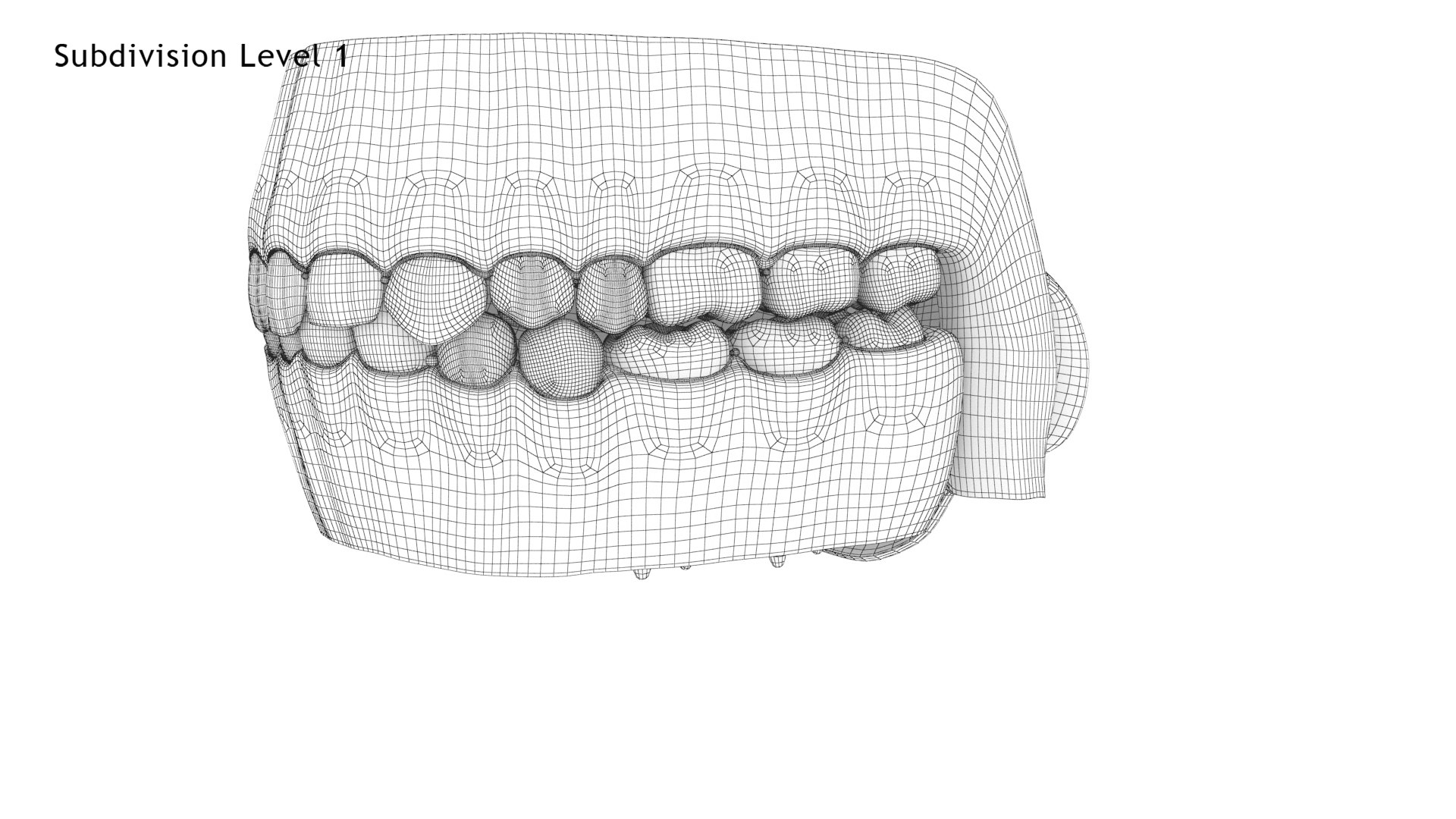 Realistic Human Mouth Rig 3D model https://p.turbosquid.com/ts-thumb/OG/PRzuAj/sD/mouth_renderwireframe5.1/jpg/1652854337/1920x1080/fit_q87/61db2debcccdf67bec3d26869936c24e9454f51f/mouth_renderwireframe5.1.jpg