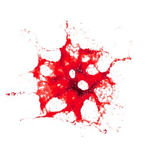 blood stain 7 3D model