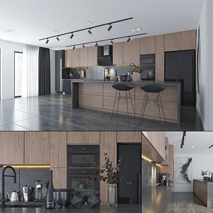 Modern Kitchen Interior model
