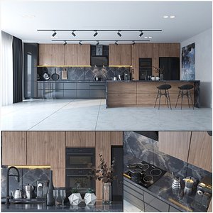 Modern Kitchen Interior model