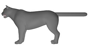 Feline 3D model