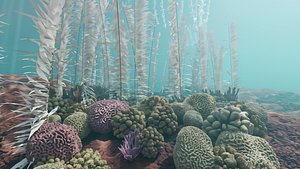 Under water scene seabed