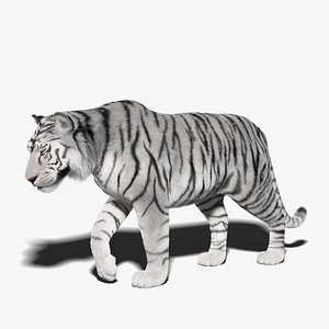White Tiger Fur Rigged