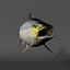 Salmone Chinook