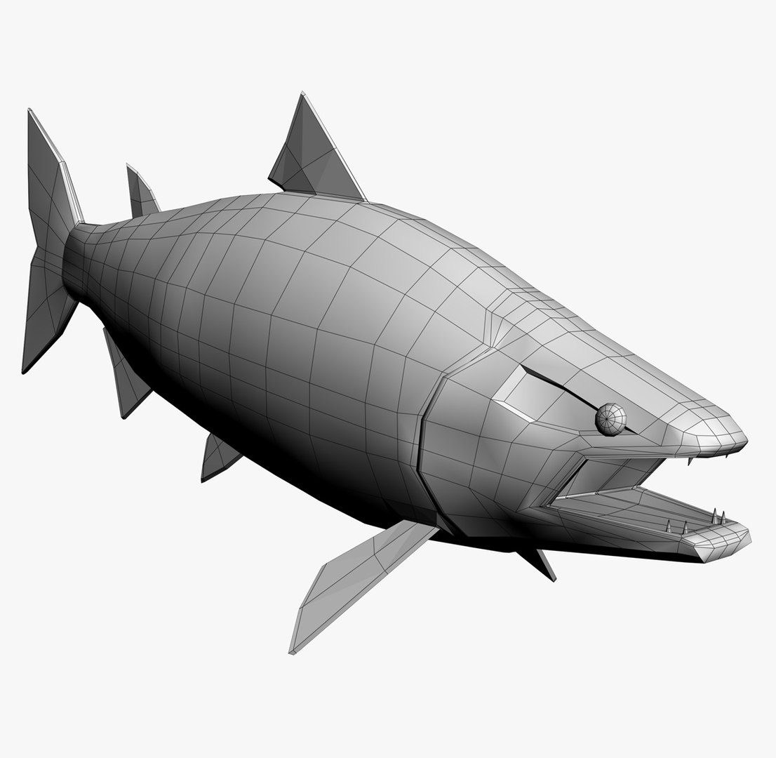 3d chinook salmon https://p.turbosquid.com/ts-thumb/OG/gDcOgg/Sbxre4pc/mesh1a/jpg/1321226745/1920x1080/fit_q87/45cbb1eb02c11c8da4a433fa6d74bd6bd425bea1/mesh1a.jpg