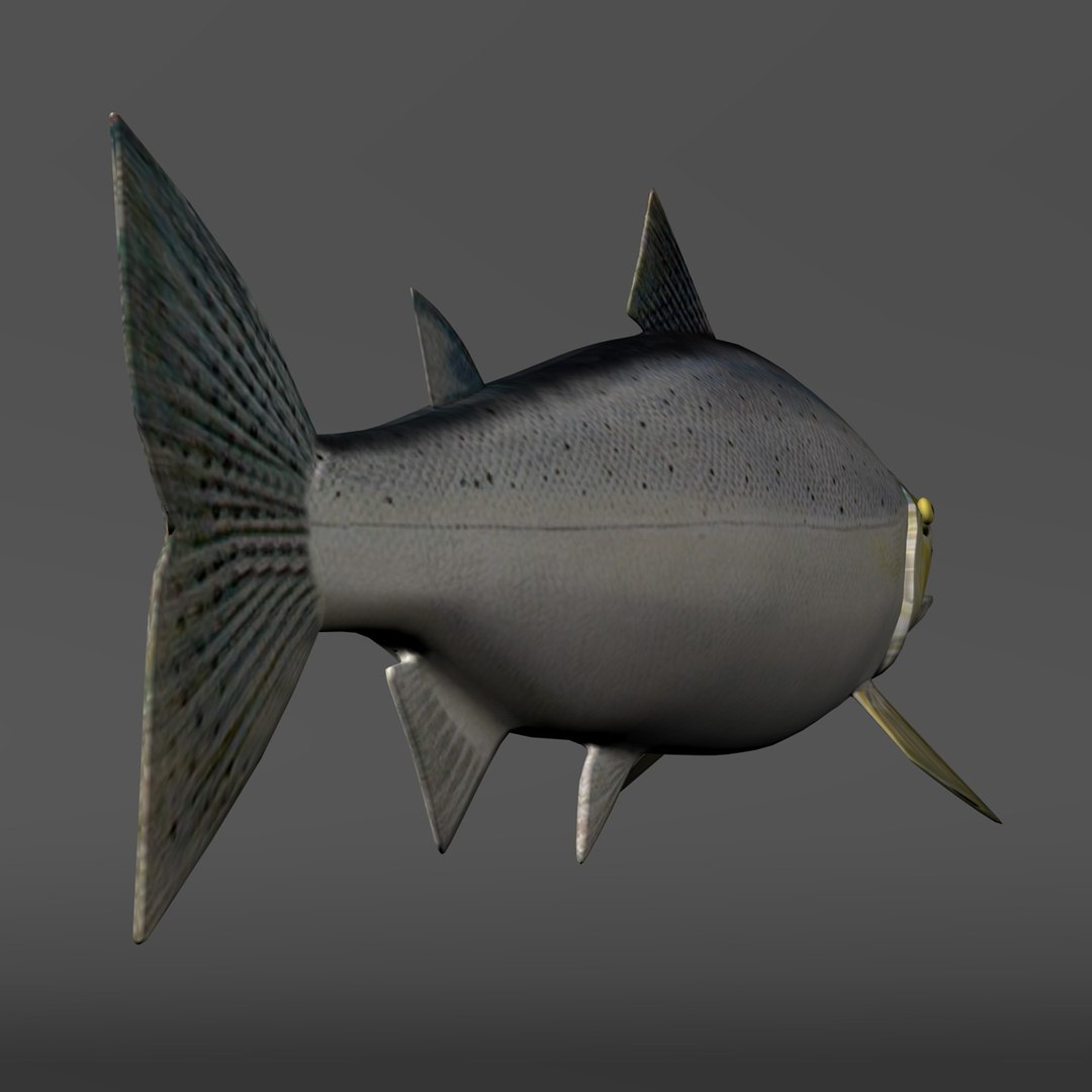 3d chinook salmon https://p.turbosquid.com/ts-thumb/OG/gDcOgg/fLon5D5S/slide5/jpg/1321226745/1920x1080/fit_q87/55ecb7983fcce8d1e6229a12962550ee16501e23/slide5.jpg