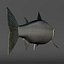 Salmone Chinook