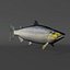 Salmone Chinook