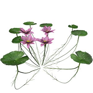 Lotus Flower - 04 - 3D model