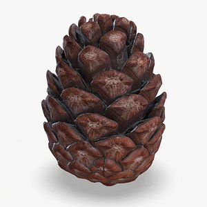 High Quality Scan Pine Cone - 1 model