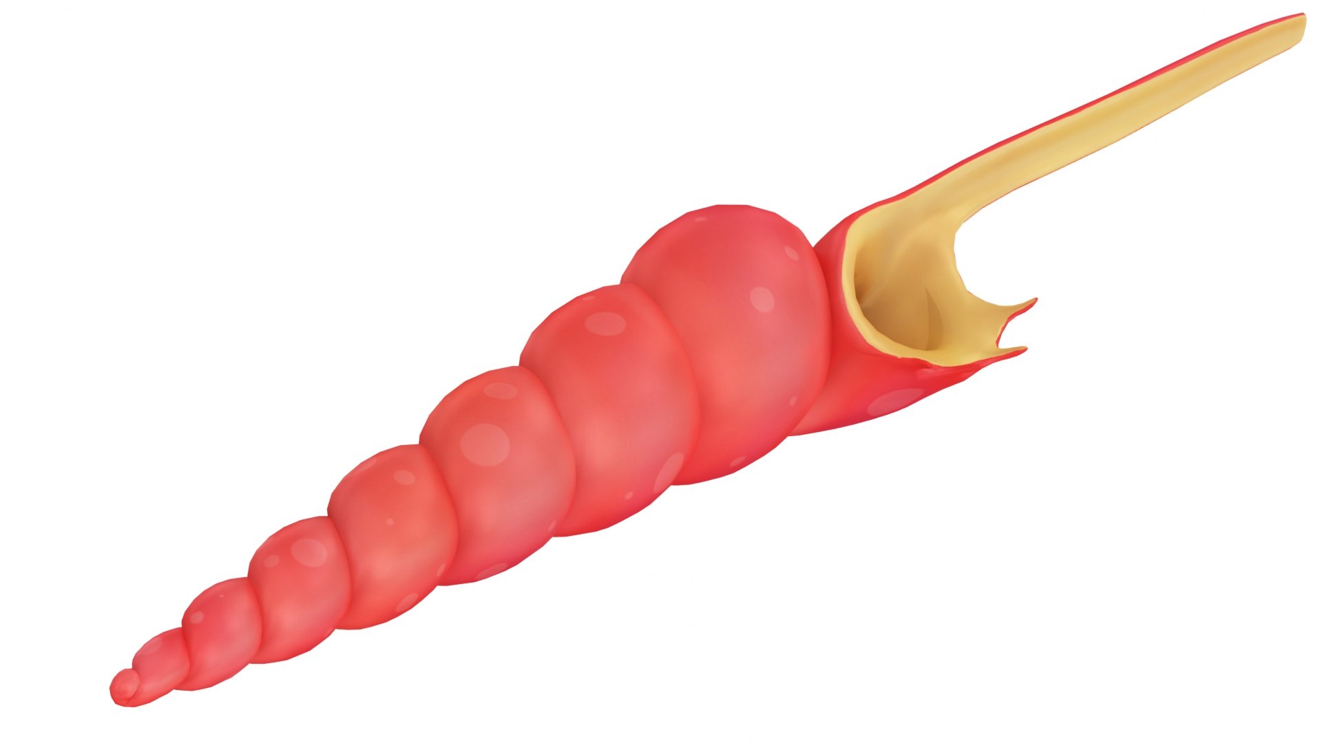 Cartoon Sea Shell 02 model https://p.turbosquid.com/ts-thumb/OG/nIH3zW/0e/cartoonseashell023/jpg/1687785452/1920x1080/fit_q87/35cc3786b480d19c6e3bbc7be49aeab2bb2df36b/cartoonseashell023.jpg